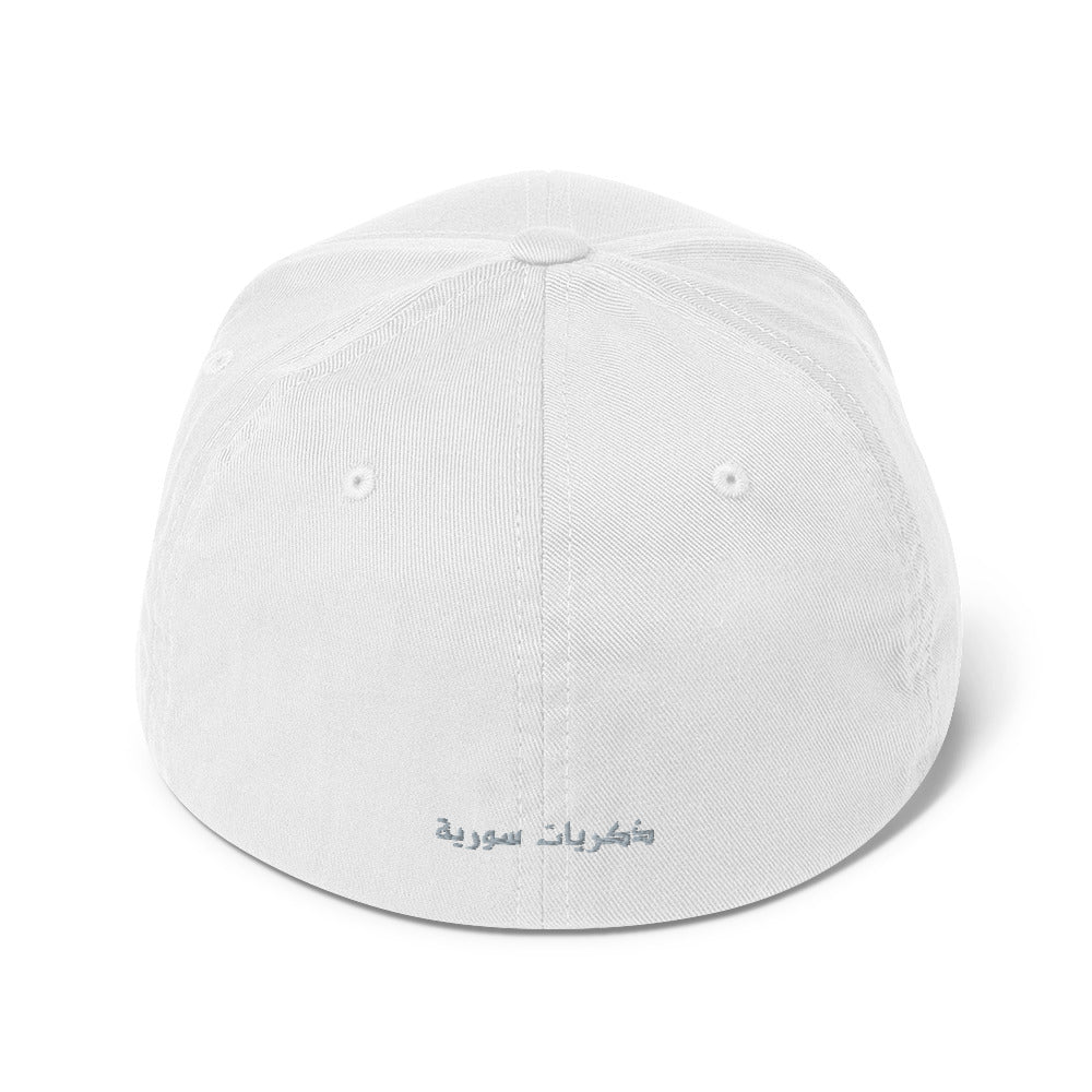Closed-Back Flexfit Cap