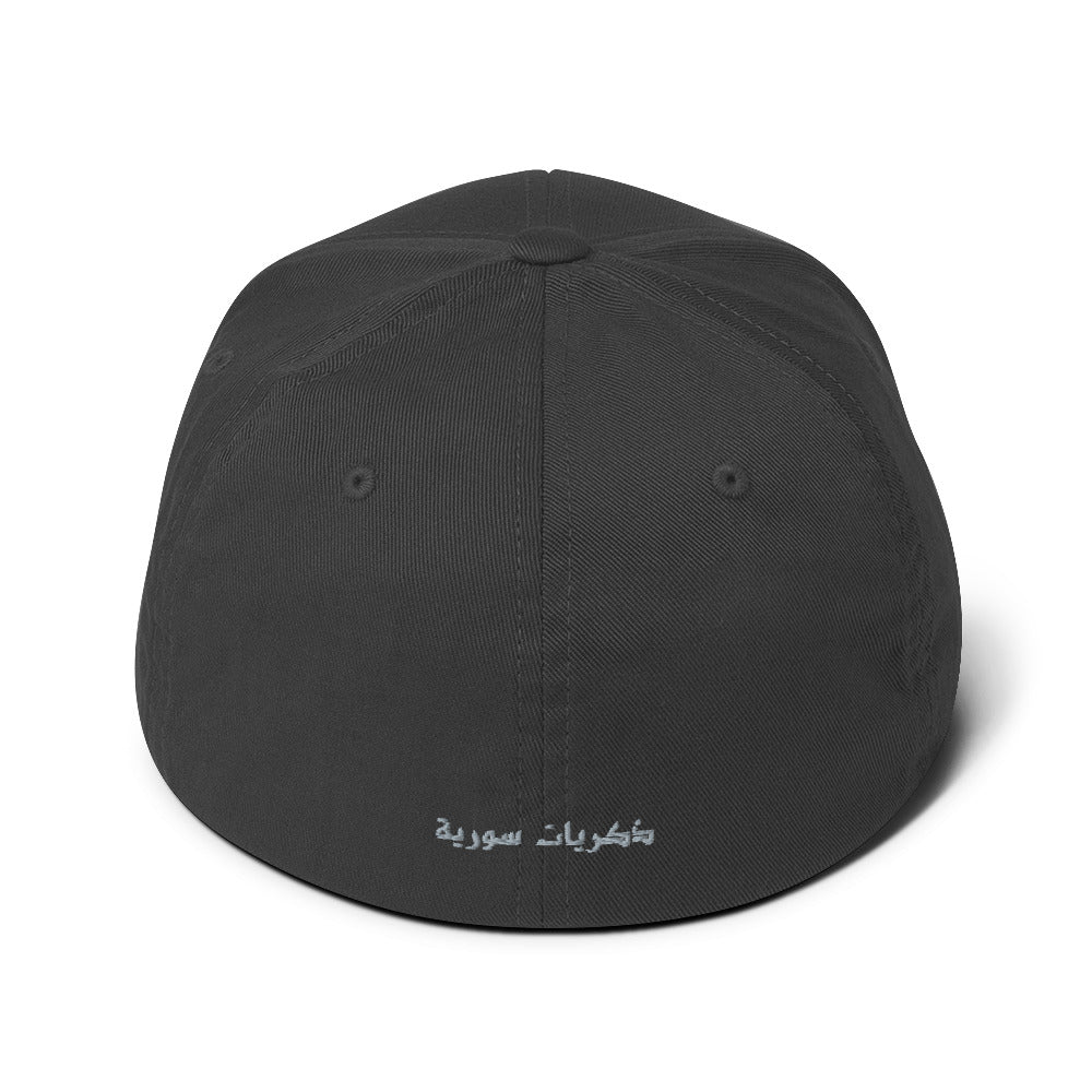 Closed-Back Flexfit Cap